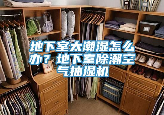 地下室太潮濕怎么辦？地下室除潮空氣抽濕機(jī)