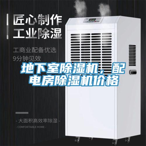 地下室除濕機(jī)，配電房除濕機(jī)價(jià)格
