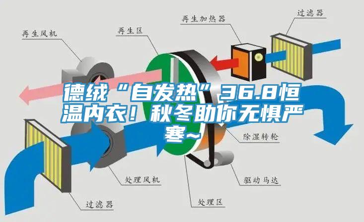 德絨“自發(fā)熱”36.8恒溫內(nèi)衣！秋冬助你無懼嚴寒~