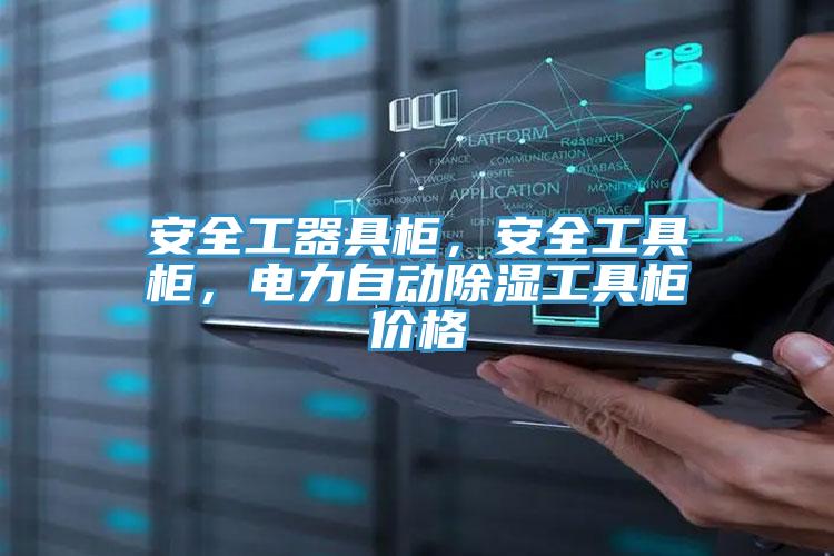 安全工器具柜，安全工具柜，電力自動(dòng)除濕工具柜價(jià)格