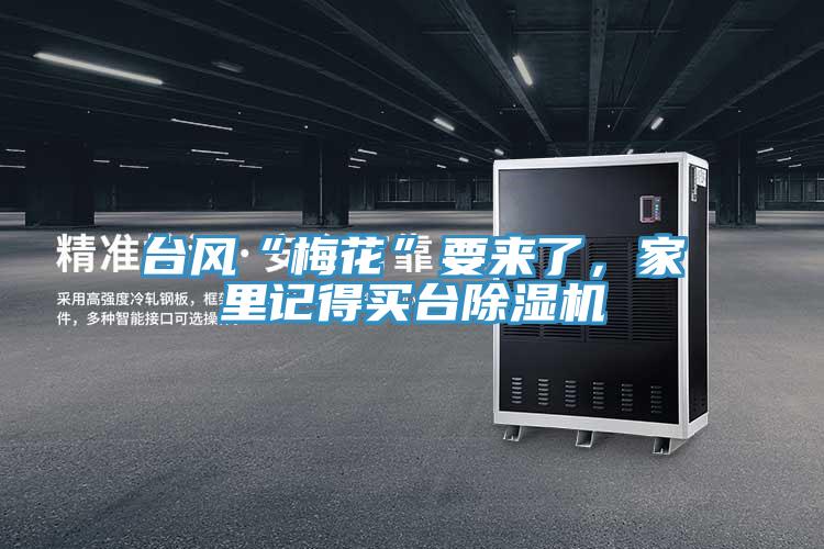 臺風“梅花”要來了，家里記得買臺除濕機