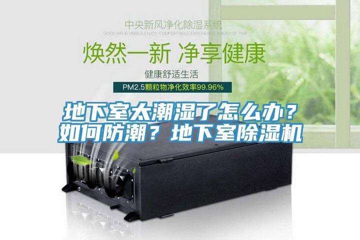 地下室太潮濕了怎么辦？如何防潮？地下室除濕機(jī)