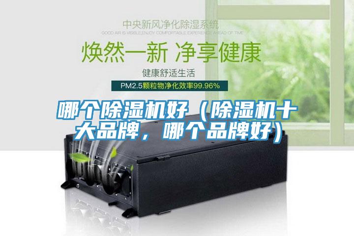 哪個(gè)除濕機(jī)好（除濕機(jī)十大品牌，哪個(gè)品牌好）