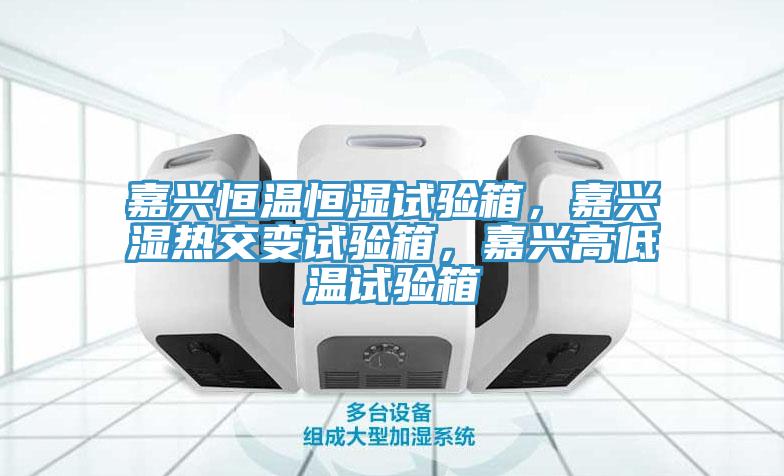 嘉興恒溫恒濕試驗(yàn)箱，嘉興濕熱交變?cè)囼?yàn)箱，嘉興高低溫試驗(yàn)箱