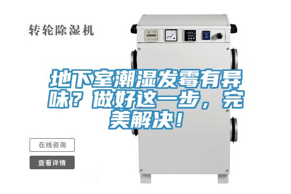 地下室潮濕發(fā)霉有異味？做好這一步，完美解決！