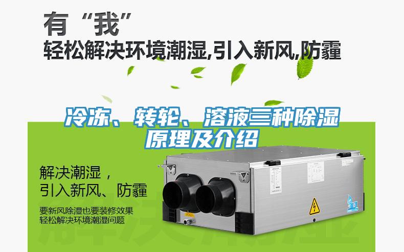 冷凍、轉(zhuǎn)輪、溶液三種除濕原理及介紹