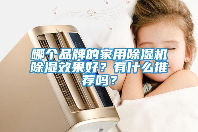 哪個(gè)品牌的家用除濕機(jī)除濕效果好？有什么推薦嗎？