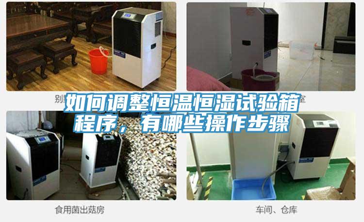 如何調(diào)整恒溫恒濕試驗箱程序，有哪些操作步驟