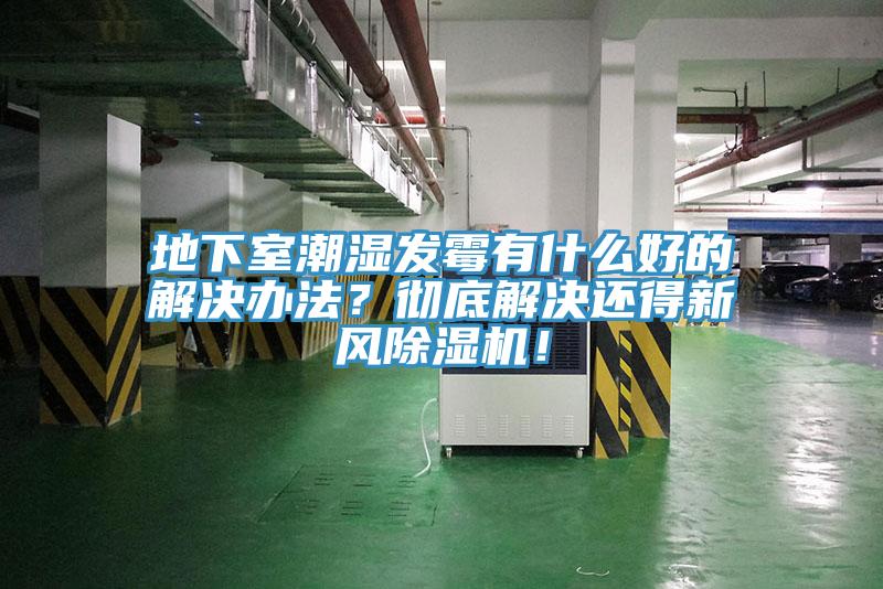 地下室潮濕發(fā)霉有什么好的解決辦法？徹底解決還得新風(fēng)除濕機(jī)！