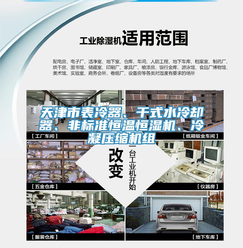 天津市表冷器、干式水冷卻器、非標(biāo)準(zhǔn)恒溫恒濕機(jī)、冷凝壓縮機(jī)組