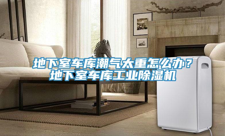 地下室車庫潮氣太重怎么辦？地下室車庫工業(yè)除濕機
