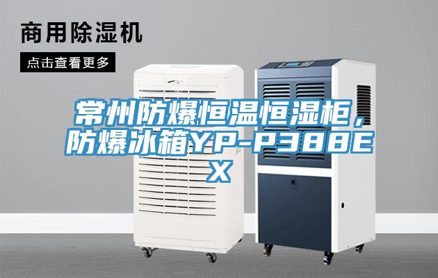 常州防爆恒溫恒濕柜，防爆冰箱YP-P388EX
