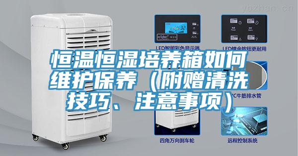 恒溫恒濕培養(yǎng)箱如何維護(hù)保養(yǎng)（附贈清洗技巧、注意事項(xiàng)）