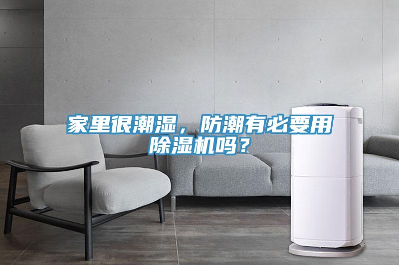 家里很潮濕，防潮有必要用除濕機嗎？