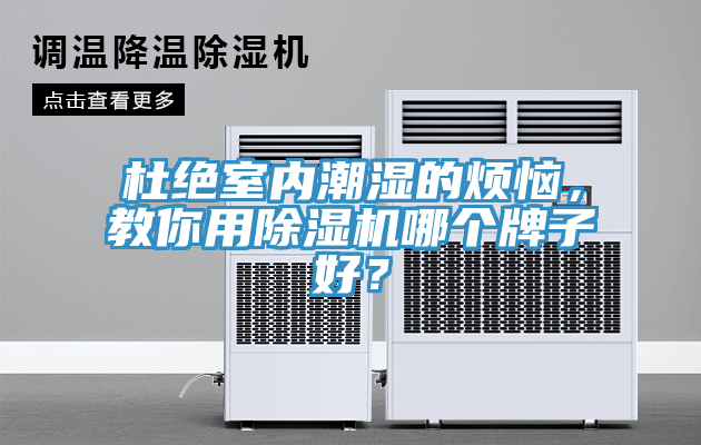 杜絕室內潮濕的煩惱，教你用除濕機哪個牌子好？