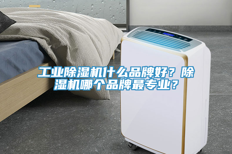 工業(yè)除濕機什么品牌好？除濕機哪個品牌最專業(yè)？