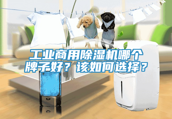 工業(yè)商用除濕機(jī)哪個牌子好？該如何選擇？