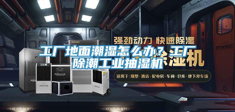 工廠地面潮濕怎么辦？工廠除潮工業(yè)抽濕機