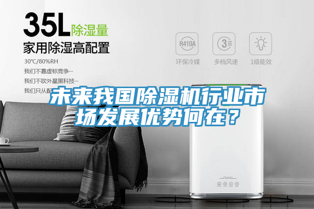 未來我國除濕機行業(yè)市場發(fā)展優(yōu)勢何在？
