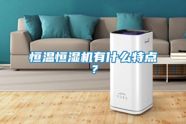 恒溫恒濕機有什么特點？