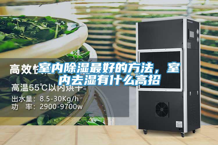 室內(nèi)除濕最好的方法，室內(nèi)去濕有什么高招