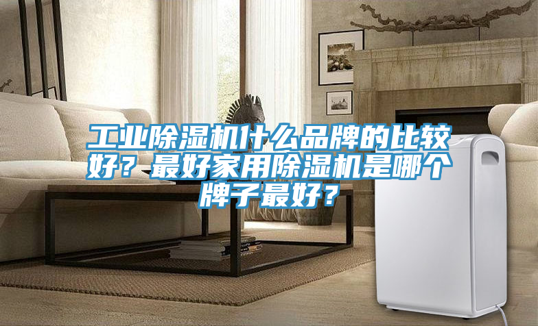 工業(yè)除濕機什么品牌的比較好？最好家用除濕機是哪個牌子最好？