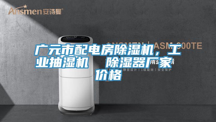 廣元市配電房除濕機(jī)，工業(yè)抽濕機(jī)  除濕器廠家 價(jià)格