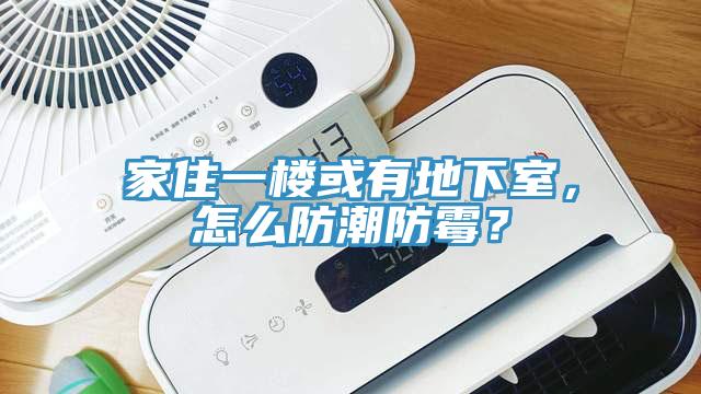家住一樓或有地下室，怎么防潮防霉？