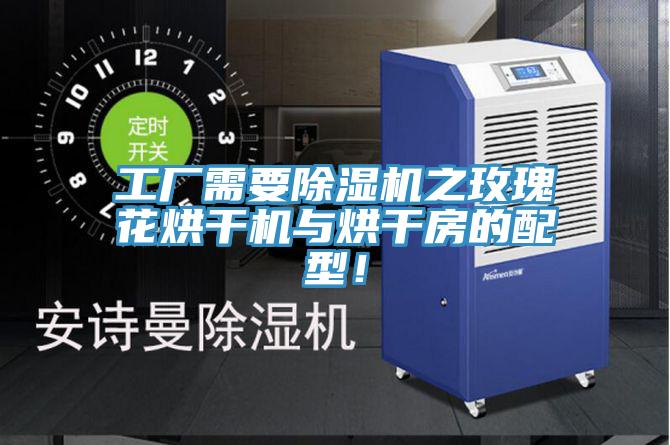 工廠需要除濕機之玫瑰花烘干機與烘干房的配型！