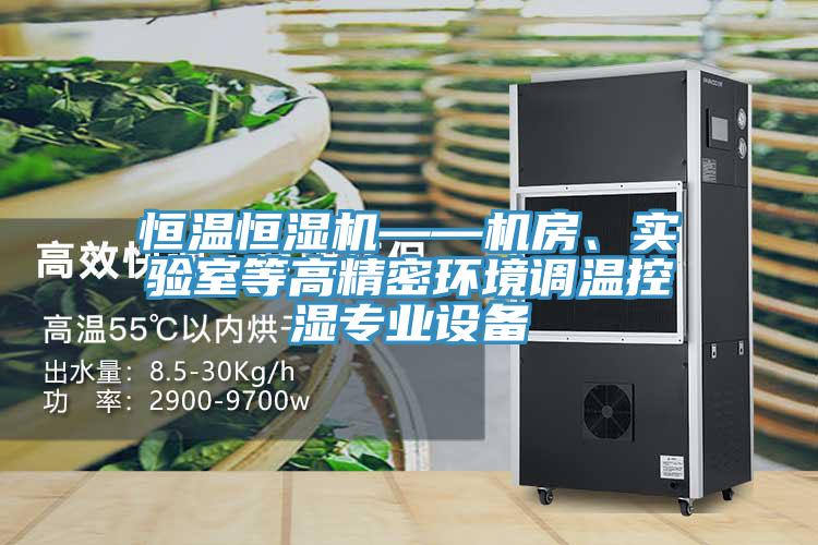 恒溫恒濕機(jī)——機(jī)房、實(shí)驗(yàn)室等高精密環(huán)境調(diào)溫控濕專業(yè)設(shè)備