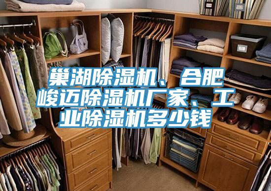 巢湖除濕機、合肥峻邁除濕機廠家、工業(yè)除濕機多少錢