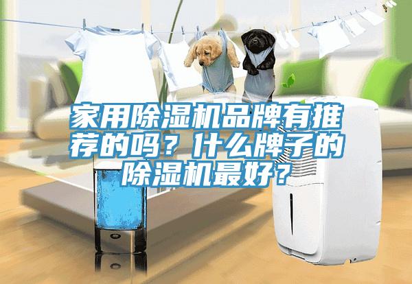 家用除濕機(jī)品牌有推薦的嗎？什么牌子的除濕機(jī)最好？