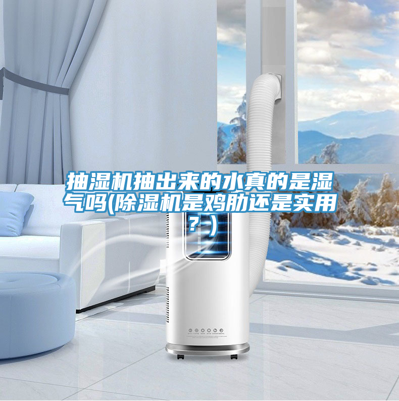 抽濕機(jī)抽出來的水真的是濕氣嗎(除濕機(jī)是雞肋還是實用？)