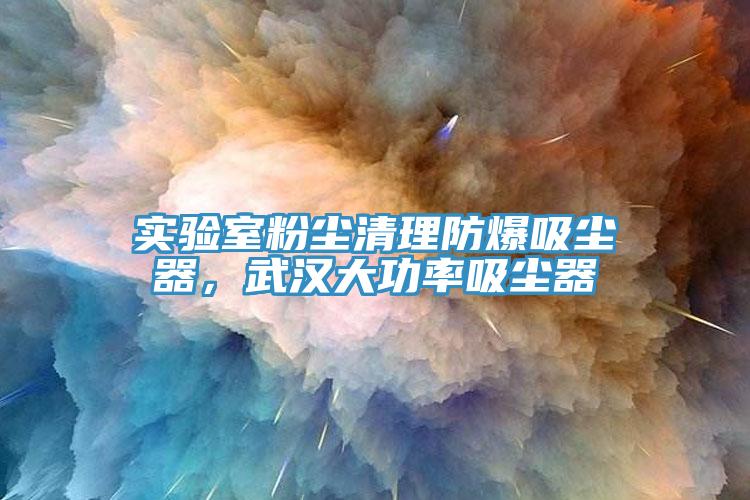 實驗室粉塵清理防爆吸塵器，武漢大功率吸塵器