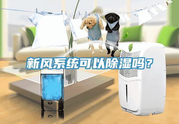 新風(fēng)系統(tǒng)可以除濕嗎？