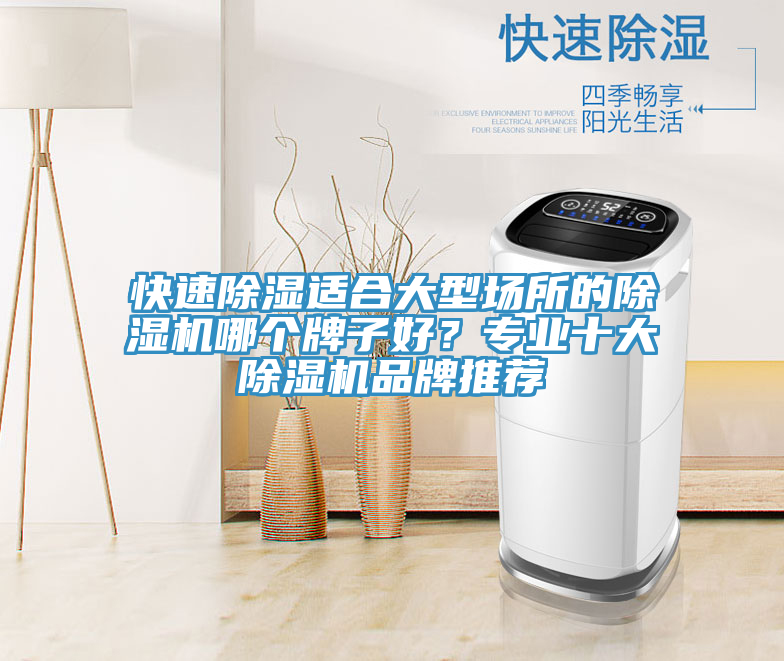 快速除濕適合大型場所的除濕機(jī)哪個(gè)牌子好？專業(yè)十大除濕機(jī)品牌推薦