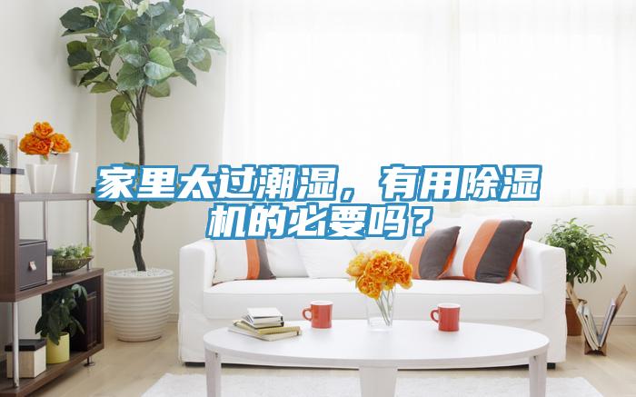 家里太過潮濕，有用除濕機(jī)的必要嗎？