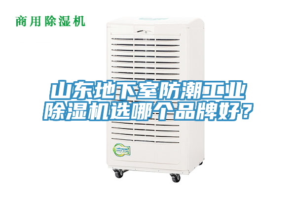 山東地下室防潮工業(yè)除濕機(jī)選哪個(gè)品牌好？