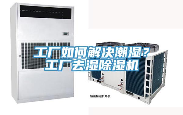工廠如何解決潮濕？工廠去濕除濕機(jī)