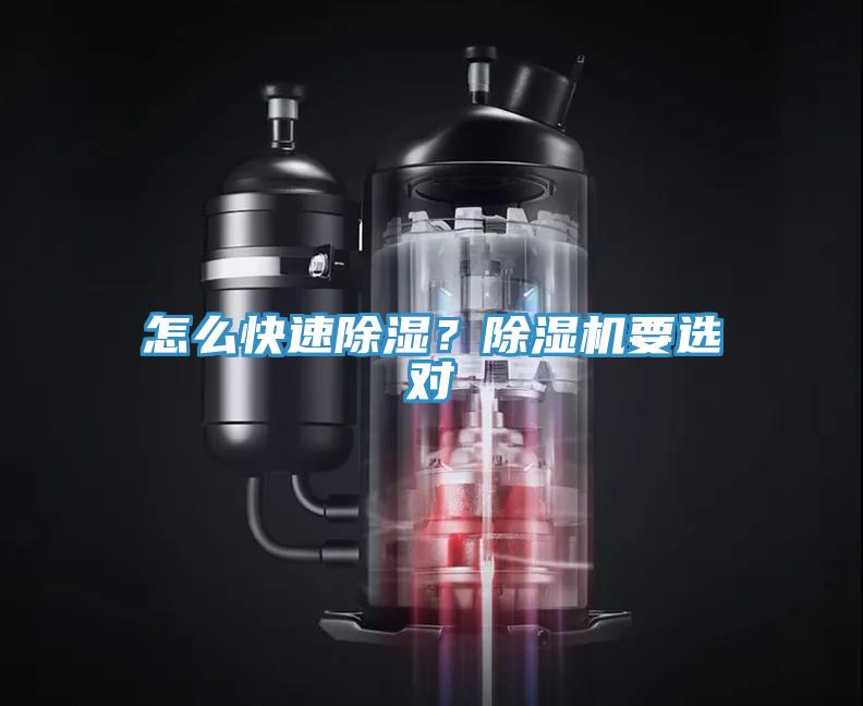 怎么快速除濕？除濕機(jī)要選對