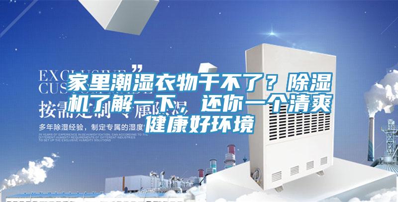 家里潮濕衣物干不了？除濕機了解一下，還你一個清爽健康好環(huán)境
