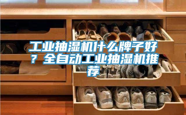 工業(yè)抽濕機(jī)什么牌子好？全自動(dòng)工業(yè)抽濕機(jī)推薦