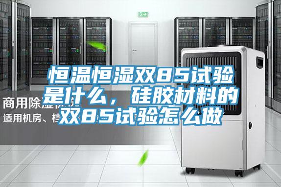 恒溫恒濕雙85試驗是什么，硅膠材料的雙85試驗怎么做