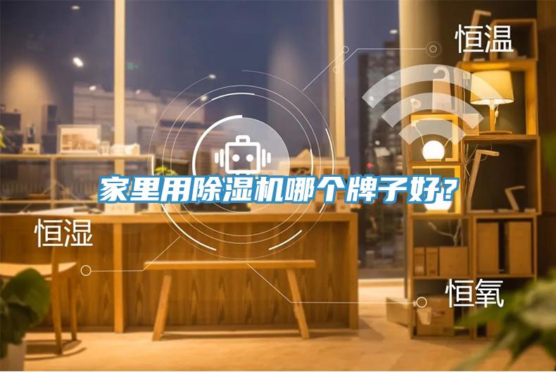 家里用除濕機哪個牌子好？