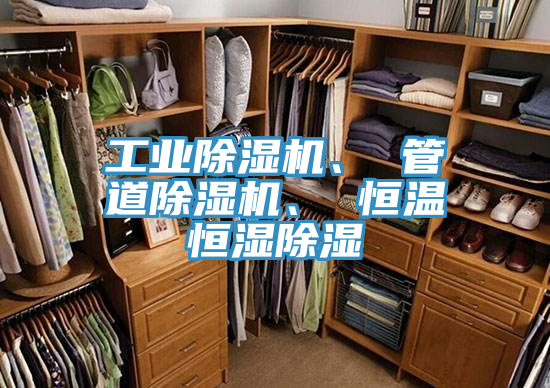 工業(yè)除濕機、 管道除濕機、 恒溫恒濕除濕