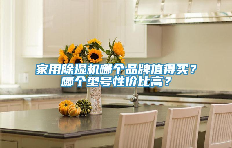 家用除濕機(jī)哪個(gè)品牌值得買(mǎi)？哪個(gè)型號(hào)性?xún)r(jià)比高？