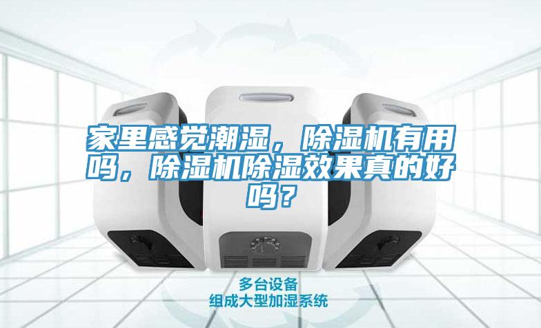 家里感覺潮濕，除濕機有用嗎，除濕機除濕效果真的好嗎？