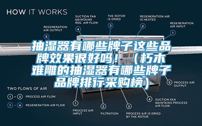 抽濕器有哪些牌子這些品牌效果很好嗎?。ㄐ嗄倦y雕的抽濕器有哪些牌子品牌排行采購榜）