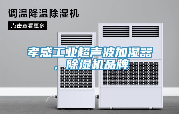 孝感工業(yè)超聲波加濕器，除濕機品牌
