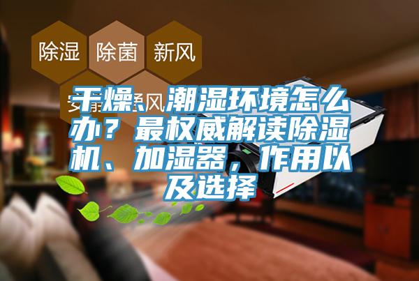 干燥、潮濕環(huán)境怎么辦？最權威解讀除濕機、加濕器，作用以及選擇